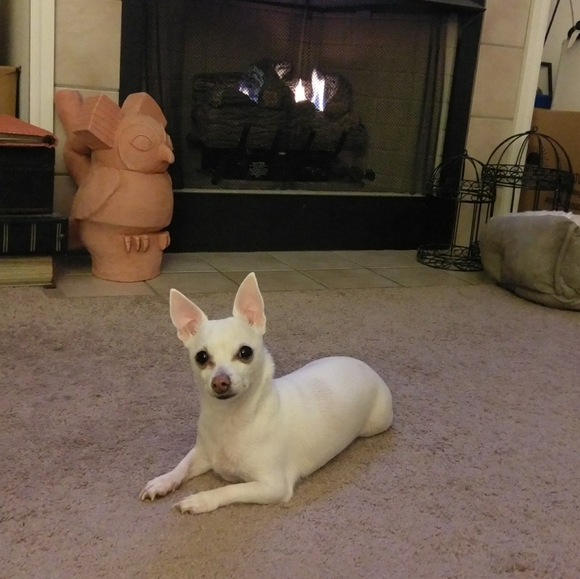 Meet your Posher, Debra - Picture 2 of 4